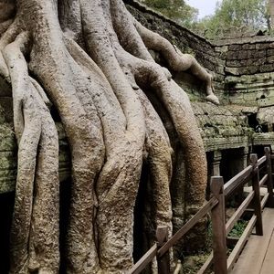 Meet your Posher, Jeff